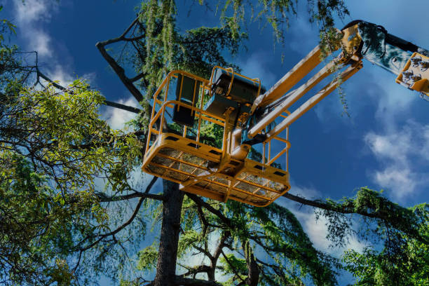 Best Commercial Tree Services  in Ladonia, AL